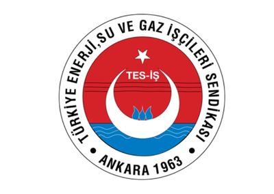 tesi is logo